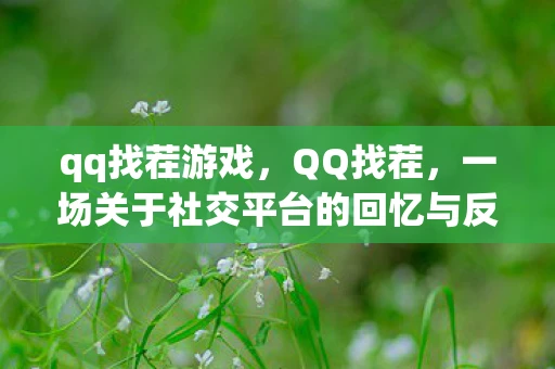 qq找茬游戏，QQ找茬，一场关于社交平台的回忆与反思