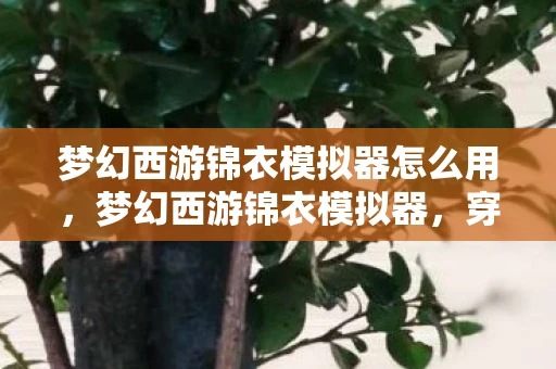 梦幻西游锦衣模拟器怎么用，梦幻西游锦衣模拟器，穿越虚拟与现实的时尚之旅