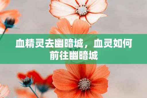 血精灵去幽暗城，血灵如何前往幽暗城