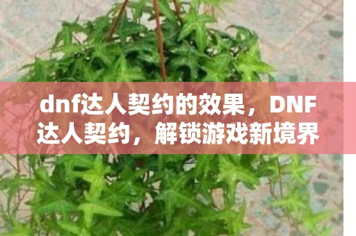dnf达人契约的效果，DNF达人契约，解锁游戏新境界的钥匙