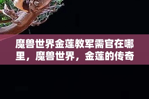 魔兽世界金莲教军需官在哪里，魔兽世界，金莲的传奇与影响