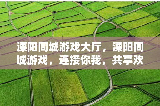 溧阳同城游戏大厅，溧阳同城游戏，连接你我，共享欢乐