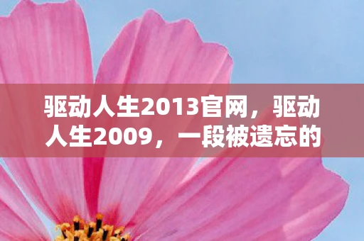 驱动人生2013官网，驱动人生2009，一段被遗忘的传奇