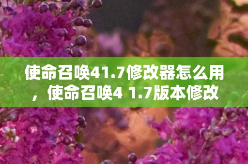 使命召唤41.7修改器怎么用,使命召唤4 1.7版本修改器使用指南 使命召唤41.7修改器怎么用,使命召唤4 1.7版本修改器使用指南