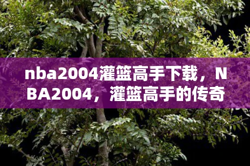nba2004灌篮高手下载，NBA2004，灌篮高手的传奇时刻