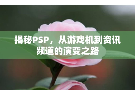从游戏机到资讯频道的演变之路图片
