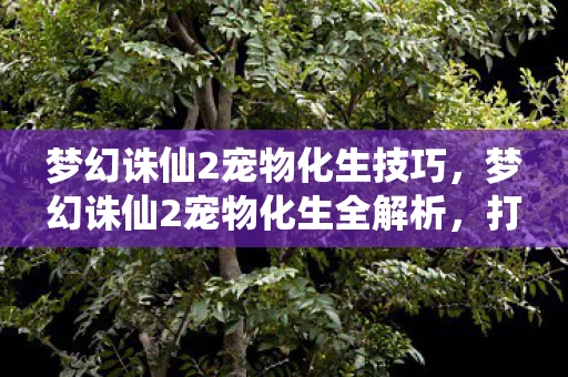 梦幻诛仙2宠物化生技巧，梦幻诛仙2宠物化生全解析，打造你的专属战斗伙伴