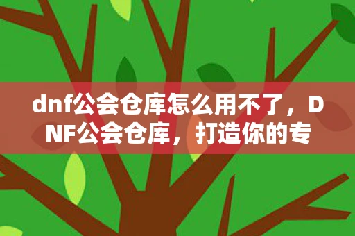 dnf公会仓库怎么用不了，DNF公会仓库，打造你的专属宝藏库