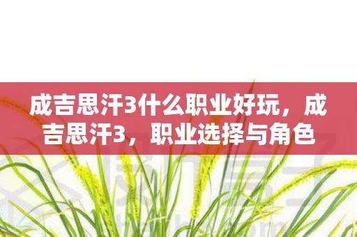 成吉思汗3什么职业好玩，成吉思汗3，职业选择与角色定位