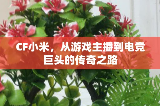CF小米，从游戏主播到电竞巨头的传奇之路