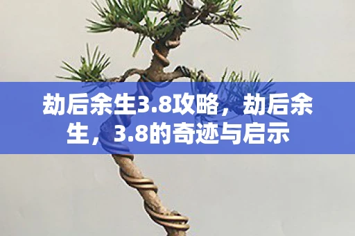 劫后余生3.8攻略，劫后余生，3.8的奇迹与启示