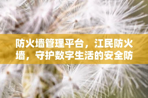 防火墙管理平台，江民防火墙，守护数字生活的安全防线