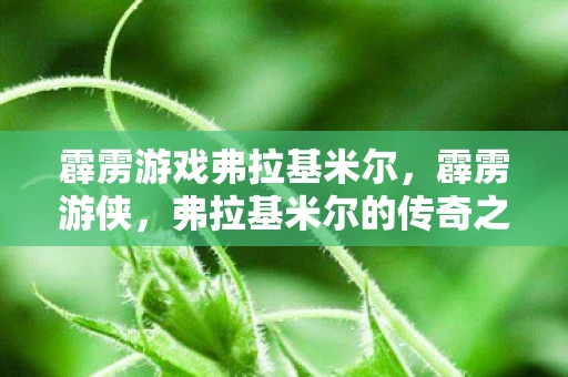 霹雳游戏弗拉基米尔，霹雳游侠，弗拉基米尔的传奇之旅