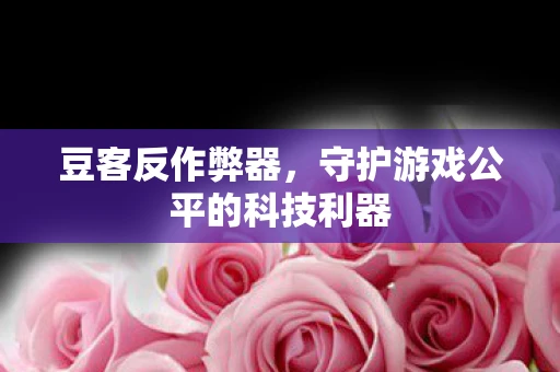 豆客反作弊器，守护游戏公平的科技利器