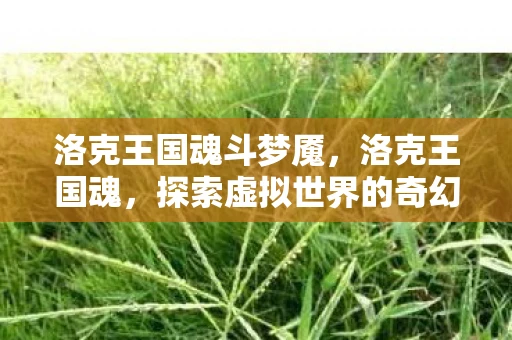 洛克王国魂斗梦魇，洛克王国魂，探索虚拟世界的奇幻之旅