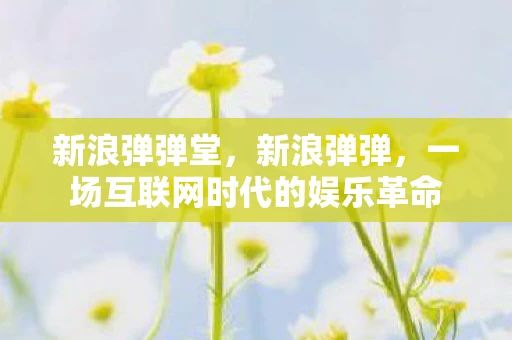 新浪弹弹堂，新浪弹弹，一场互联网时代的娱乐革命