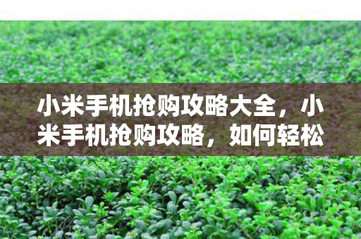 小米手机抢购攻略大全，小米手机抢购攻略，如何轻松购得心仪的小米手机