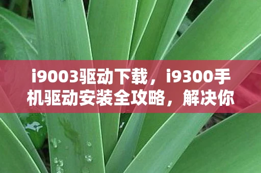 i9003驱动下载，i9300手机驱动安装全攻略，解决你的设备连接问题