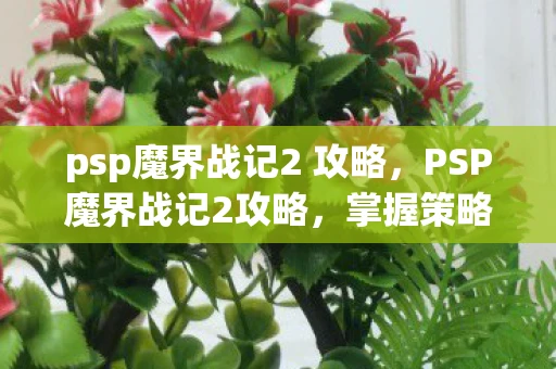 psp魔界战记2 攻略，PSP魔界战记2攻略，掌握策略，征服魔界