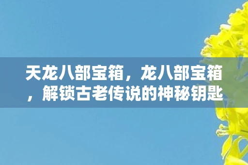天龙八部宝箱，龙八部宝箱，解锁古老传说的神秘钥匙