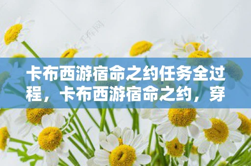 卡布西游宿命之约任务全过程，卡布西游宿命之约，穿越时空的奇幻冒险