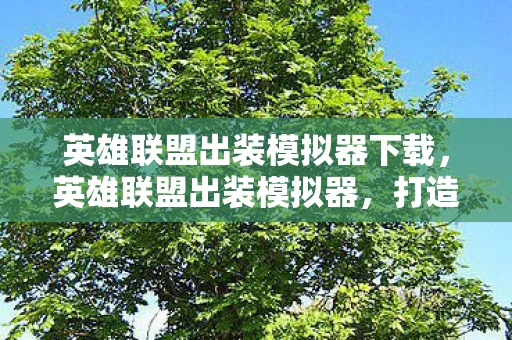 英雄联盟出装模拟器下载，英雄联盟出装模拟器，打造你的专属英雄装备