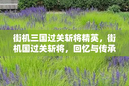 街机三国过关斩将精英，街机国过关斩将，回忆与传承