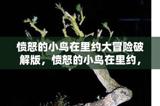 愤怒的小鸟在里约大冒险破解版，愤怒的小鸟在里约，一场跨越国界的冒险之旅