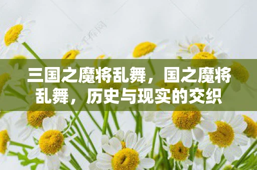 三国之魔将乱舞，国之魔将乱舞，历史与现实的交织