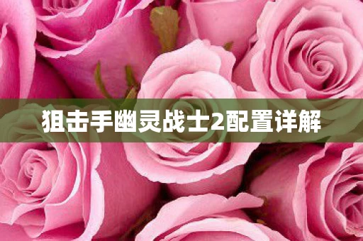 狙击手幽灵战士2配置详解图片