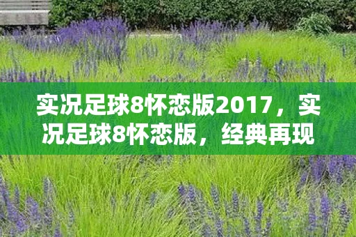 实况足球8怀恋版2017，实况足球8怀恋版，经典再现，情怀永存