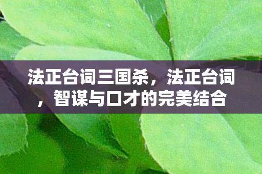 法正台词三国杀，法正台词，智谋与口才的完美结合
