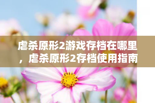 虐杀原形2游戏存档在哪里，虐杀原形2存档使用指南，轻松掌握存档管理技巧