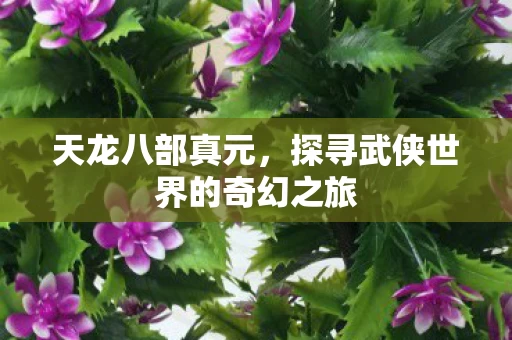 探寻武侠世界的奇幻之旅图片
