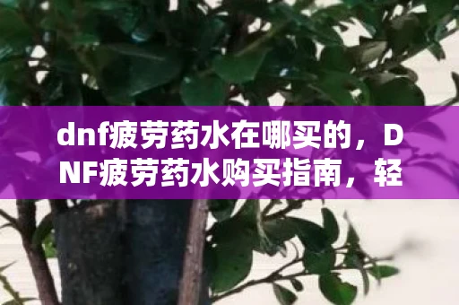 dnf疲劳药水在哪买的，DNF疲劳药水购买指南，轻松获取，助你升级无忧！