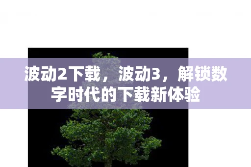 波动2下载，波动3，解锁数字时代的下载新体验