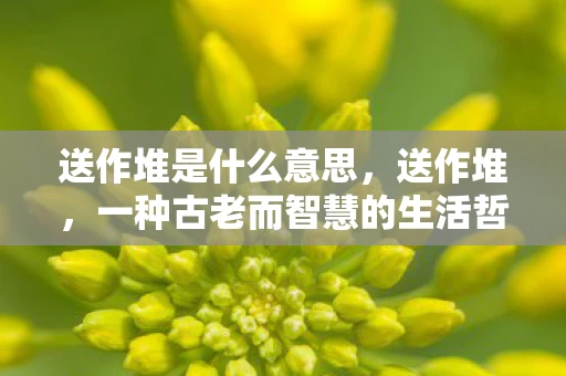 送作堆是什么意思，送作堆，一种古老而智慧的生活哲学