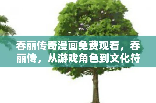 春丽传奇漫画免费观看，春丽传，从游戏角色到文化符号的传奇之旅