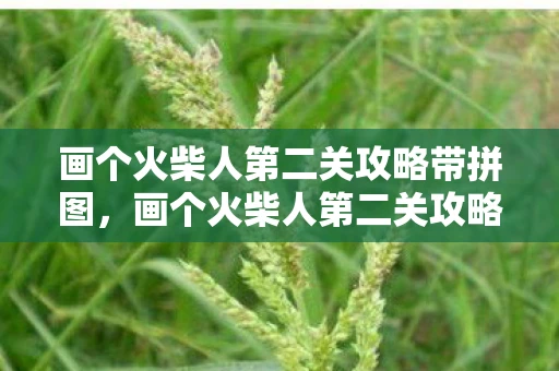 画个火柴人第二关攻略带拼图，画个火柴人第二关攻略，解锁新技能，挑战升级！