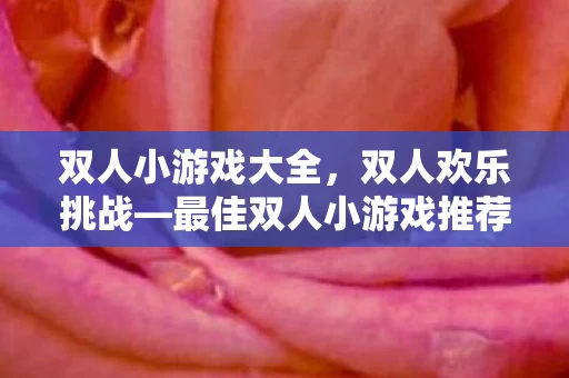 最佳双人小游戏推荐图片