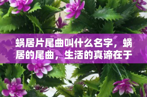 蜗居片尾曲叫什么名字，蜗居的尾曲，生活的真谛在于内心的宁静