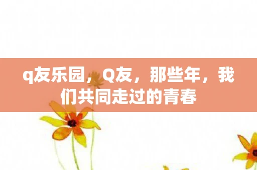 q友乐园，Q友，那些年，我们共同走过的青春