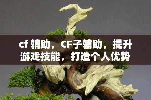 cf 辅助，CF子辅助，提升游戏技能，打造个人优势