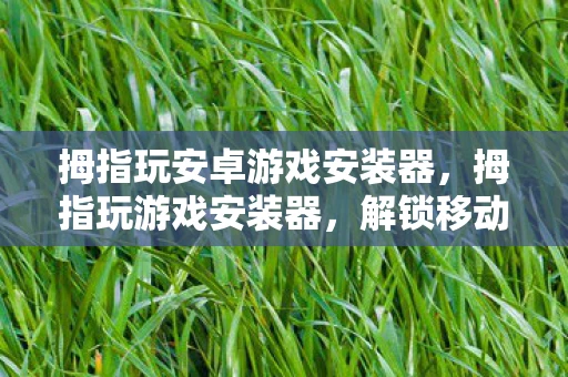 拇指玩安卓游戏安装器，拇指玩游戏安装器，解锁移动娱乐新体验