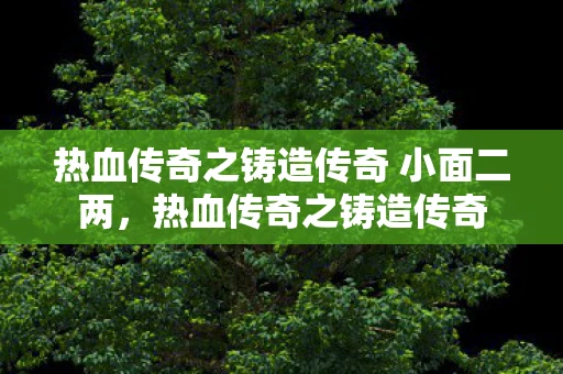 热血传奇之铸造传奇 小面二两，热血传奇之铸造传奇