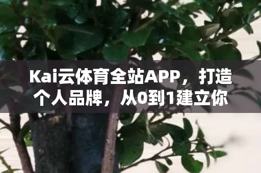 Kai云体育全站APP，打造个人品牌，从0到1建立你的自媒体帝国