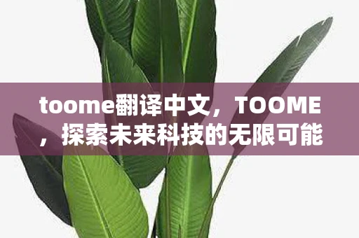 toome翻译中文，TOOME，探索未来科技的无限可能
