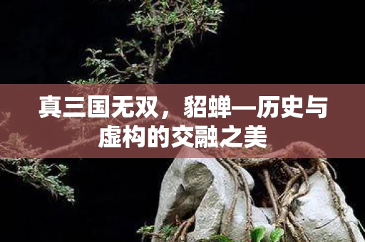 历史与虚构的交融之美图片