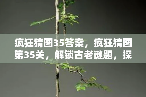 疯狂猜图35答案，疯狂猜图第35关，解锁古老谜题，探寻未知世界
