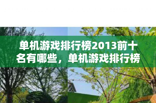 单机游戏排行榜2013前十名有哪些，单机游戏排行榜2013前十名